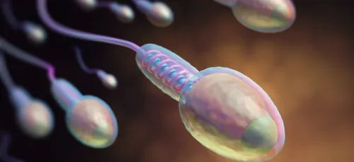 UNE PÉNURIE DE SPERME À CAUSE DU BREXIT !