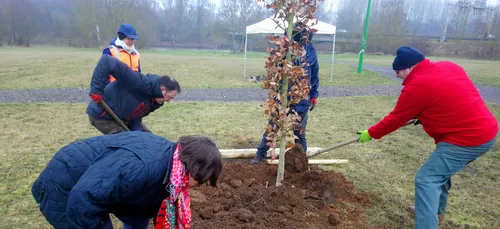 Charleville : ils adoptent un arbre sur le site du Cabaret Vert