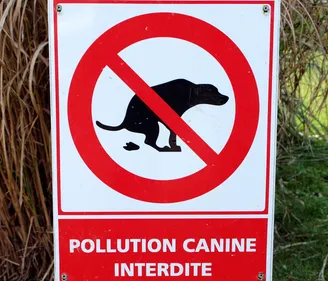 Déjections canines : ramasser !