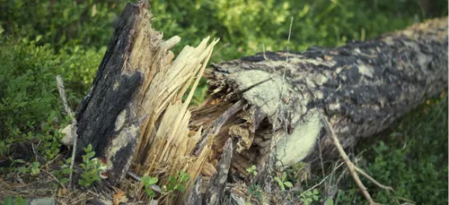 Les orages et la grêle font des dégâts dans les Ardennes