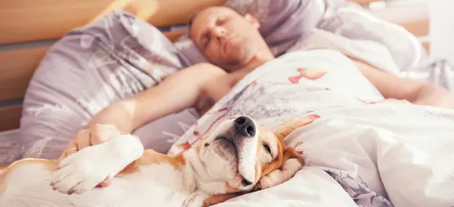 LE NOUVEAU LIT POUR LES GENS QUI PRENNENT TROP DE PLACE !