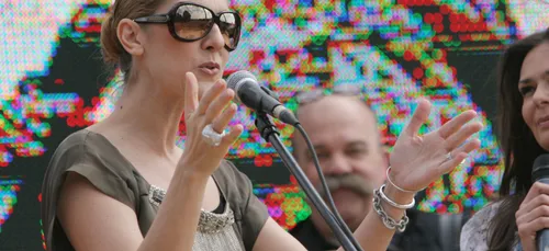 CÉLINE DION ARRÊTE SON CONCERT POUR ATTENDRE UN FAN !