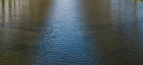 Canal des Ardennes : Pierre Cordier écrit au gouvernement