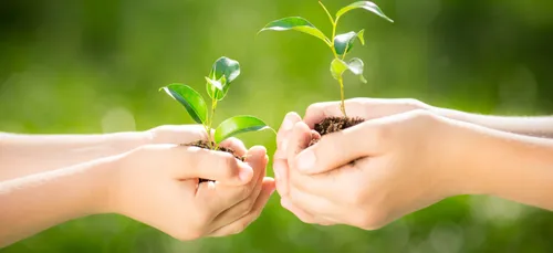 UNE MARCHE POUR LE CLIMAT PLUTÔT INSOLITE !