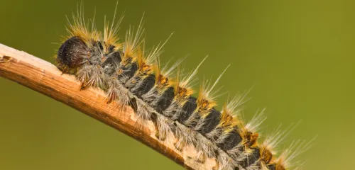 Baignade interdite au Lac de Bairon