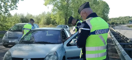 81 infractions et 12 permis de conduire suspendus