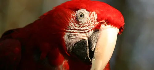 Le PAD est encore ouvert !