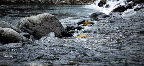 "Je marche avec la Semoy"
