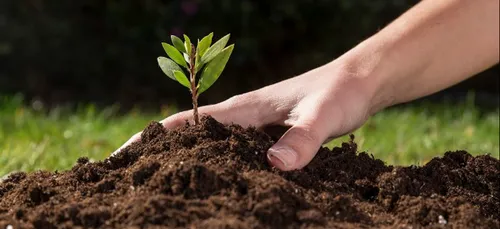 Charleville : une opération "agriloving"