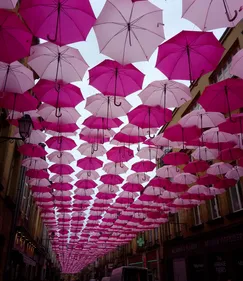 Charleville : un ciel de parapluies roses dans la rue du Moulin