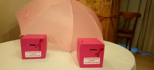 Octobre Rose : les commerçants de la rue du Moulin de Charleville...