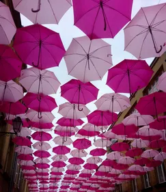 Charleville : les parapluies roses de la rue du Moulin vendus en un...