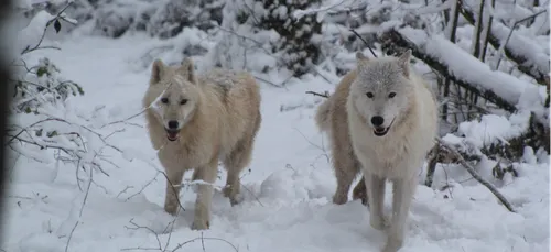 Une fréquentation record pour le Parc Argonne Découverte à...