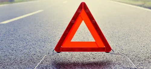 Deux accidents avec des sangliers ce week-end dans les Ardennes