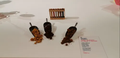 Le Moulin à Couleurs d'Ecordal s'est exposé à l'Elysée