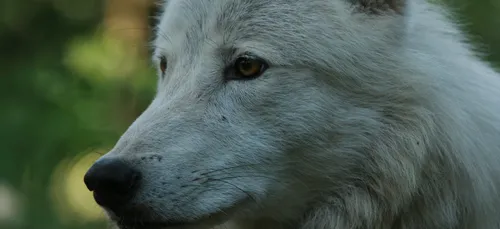 Le Parc Argonne Découverte est ouvert.