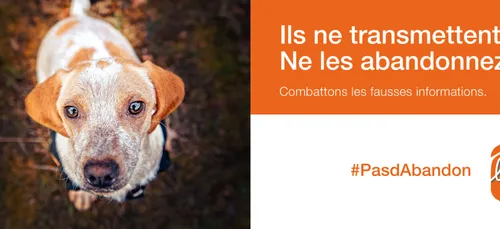 Les adoptations d'animaux à nouveau possibles.