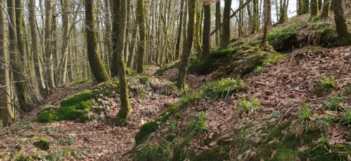 Redécouvrir les Ardennes.
