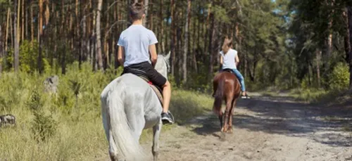 Les Ardennes à cheval aussi !