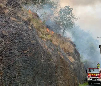Un violent feu de forêt à Bogny-sur-Meuse