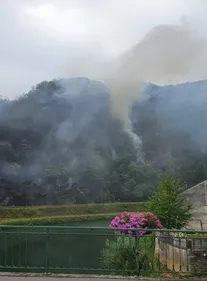 Feu de forêt : le Préfet des Ardennes en appelle au civisme
