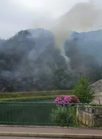 Violent feu de forêt à Bogny-sur-Meuse : un enfant de 11 ans...