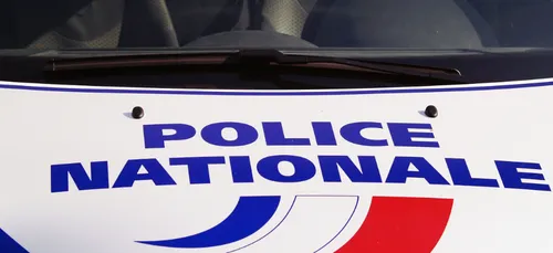 Charleville : deux personnes interpellées pour avoir maltraité un chat