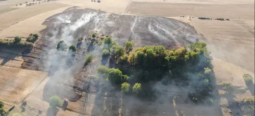 42 hectares de végétation brûlés à Moiry