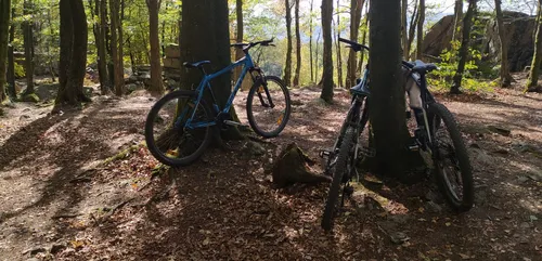 Un premier bilan positif pour la saison touristique estivale dans...