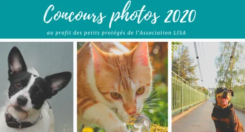 La Lisa lance un grand concours de photos