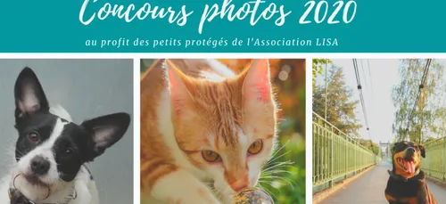 Ardennes : la Lisa se mobilise.