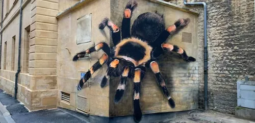 Charleville : les Carolos votent pour le maintien de l'araignée géante