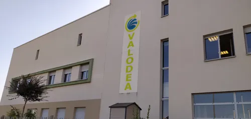 Une tête de chevreuil retrouvée au centre de tri de Charleville