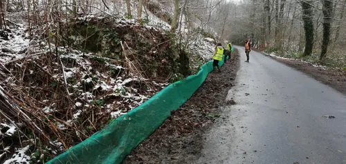 Un crapaudrome installé sur la commune de Tournavaux