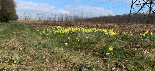 Reconquérir la biodiversité au sein du PNR