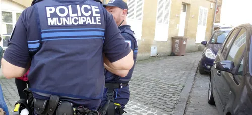 Reprise des fouilles pour tenter de retrouver le corps d'Estelle...