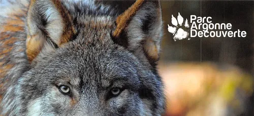 Le parc Argonne découvert à ouvert ses portes