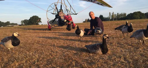 Vol au dessus du haut Anjou [VIDEO]