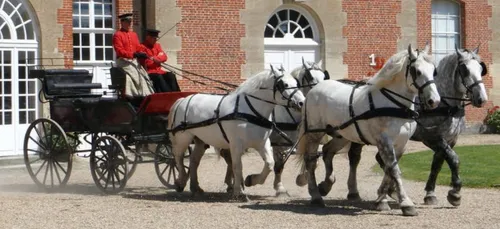 Haras du Pin : bientôt un parc de loisirs ?