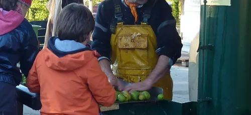 Élaborer votre propre jus de pomme, ça vous tente ?
