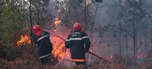 Mulsanne : ce samedi, on reboise