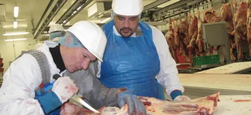 Agroalimentaire : 20 postes à pourvoir en Sarthe