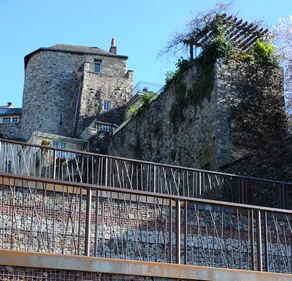 Le Mans : 650 000 euros pour 40 pommiers