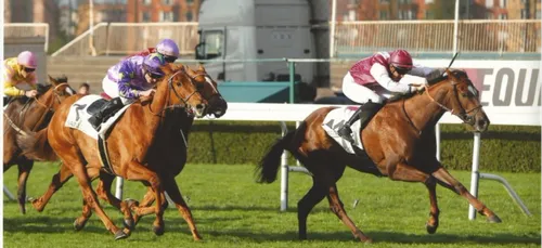 Ecurie de groupe sarthoise cherche actionnaires passionnés de cheval