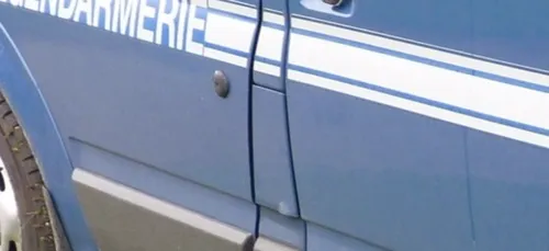 Mulsanne : à moto sans permis, il heurte un chevreuil