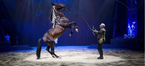 Gruss et ses chevaux au Mans ce week-end