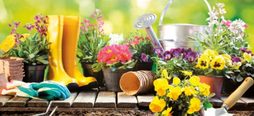 Le Mans fête les jardins ce samedi