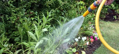 Usage de l’eau dans l’Orne : limitations renforcées