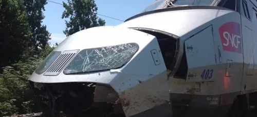 Entre Le Mans et Angers : le TGV heurte un troupeau