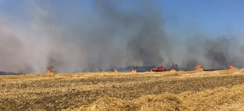 Perche : 20 hectares en feu